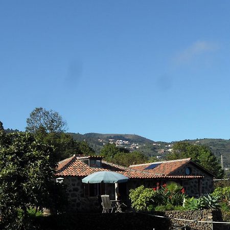 Finca Cueva Del Viento Icod De Los Vinos Oda fotoğraf