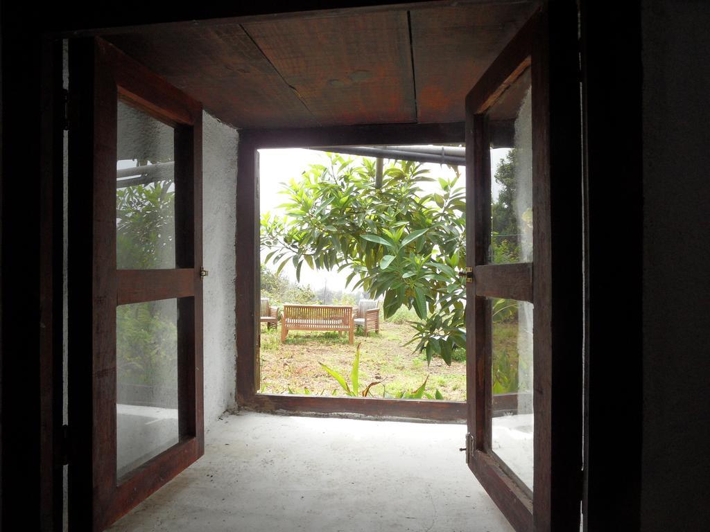 Finca Cueva Del Viento Icod De Los Vinos Oda fotoğraf