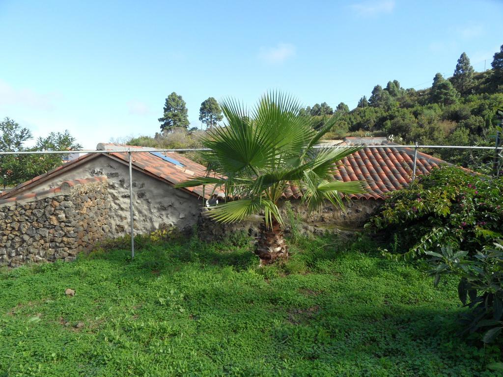 Finca Cueva Del Viento Icod De Los Vinos Oda fotoğraf