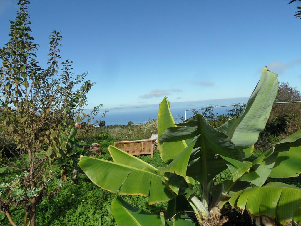 Finca Cueva Del Viento Icod De Los Vinos Oda fotoğraf