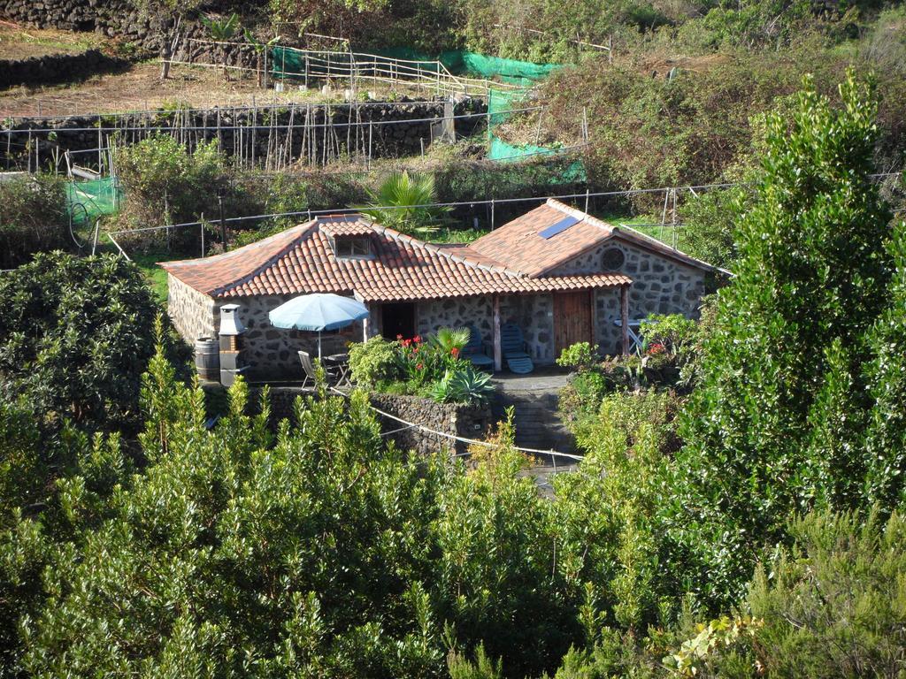 Finca Cueva Del Viento Icod De Los Vinos Oda fotoğraf