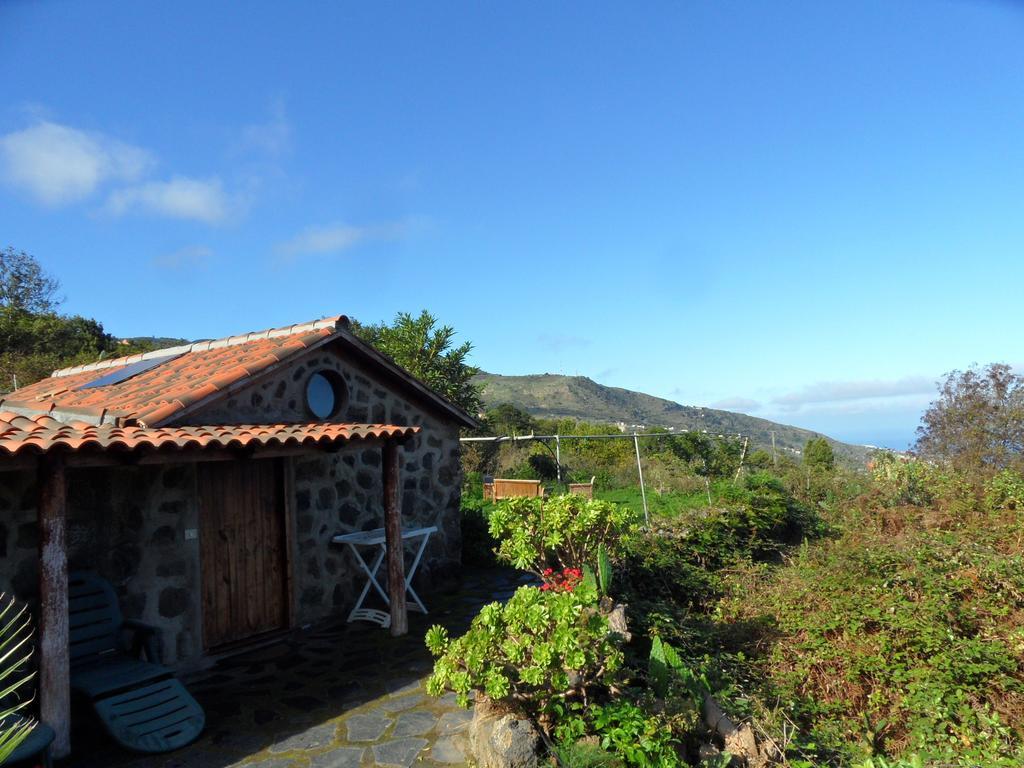 Finca Cueva Del Viento Icod De Los Vinos Oda fotoğraf