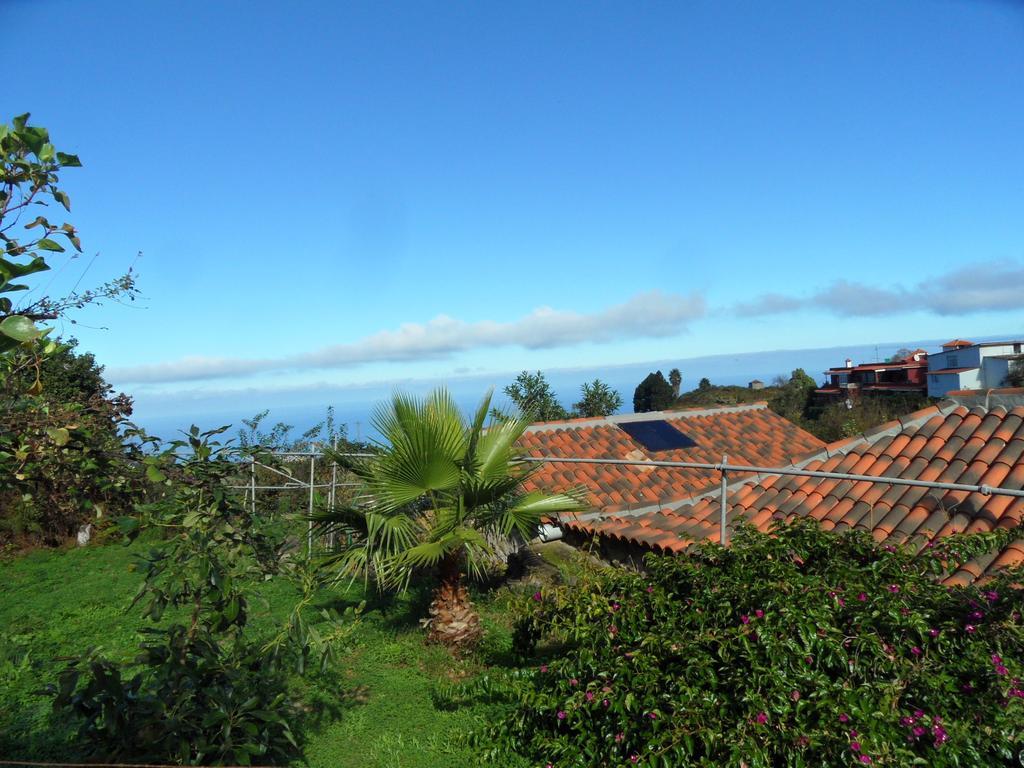 Finca Cueva Del Viento Icod De Los Vinos Oda fotoğraf