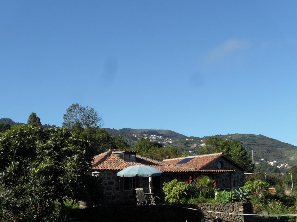 Finca Cueva Del Viento Icod De Los Vinos Oda fotoğraf