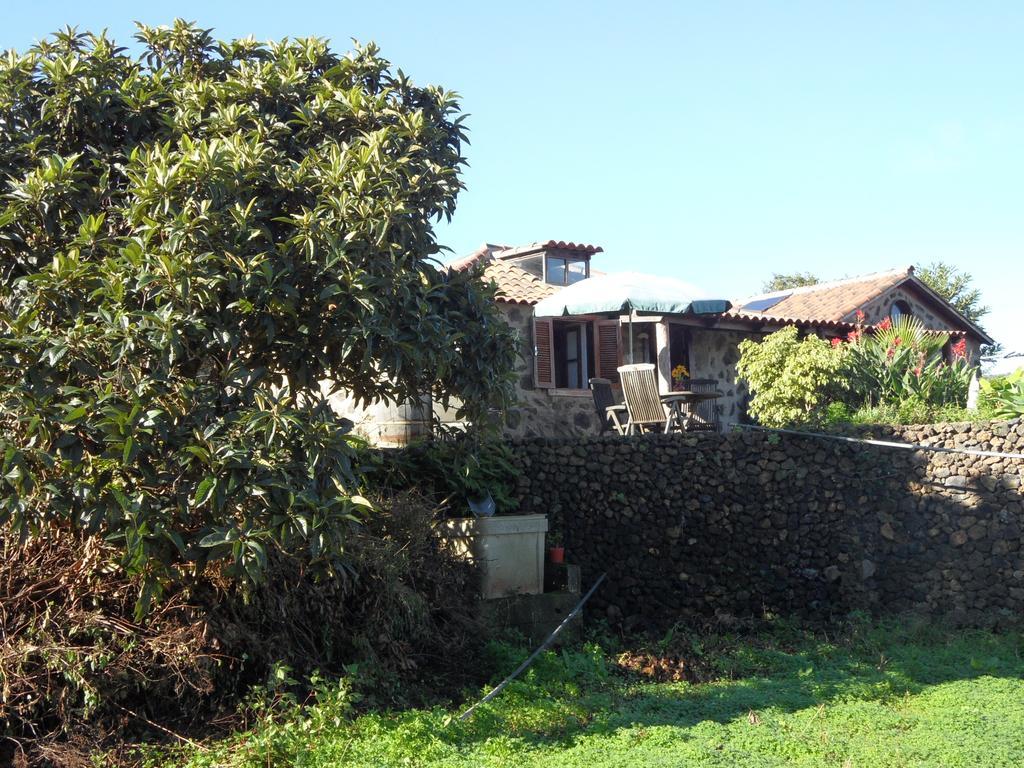 Finca Cueva Del Viento Icod De Los Vinos Oda fotoğraf